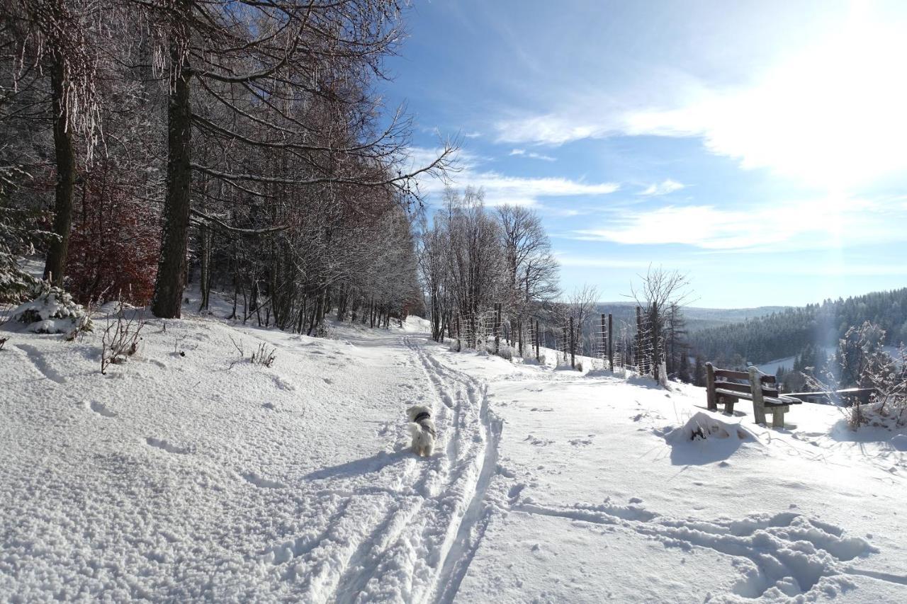 Haus Donnerberg Rehefeld Διαμέρισμα Altenberg  Εξωτερικό φωτογραφία