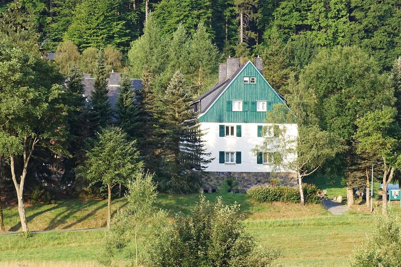 Haus Donnerberg Rehefeld Διαμέρισμα Altenberg  Εξωτερικό φωτογραφία