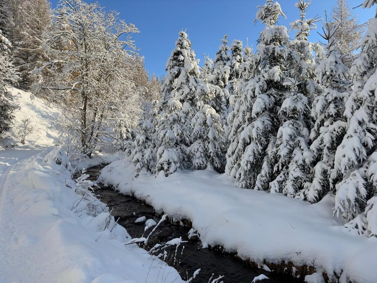 Haus Donnerberg Rehefeld Διαμέρισμα Altenberg  Εξωτερικό φωτογραφία